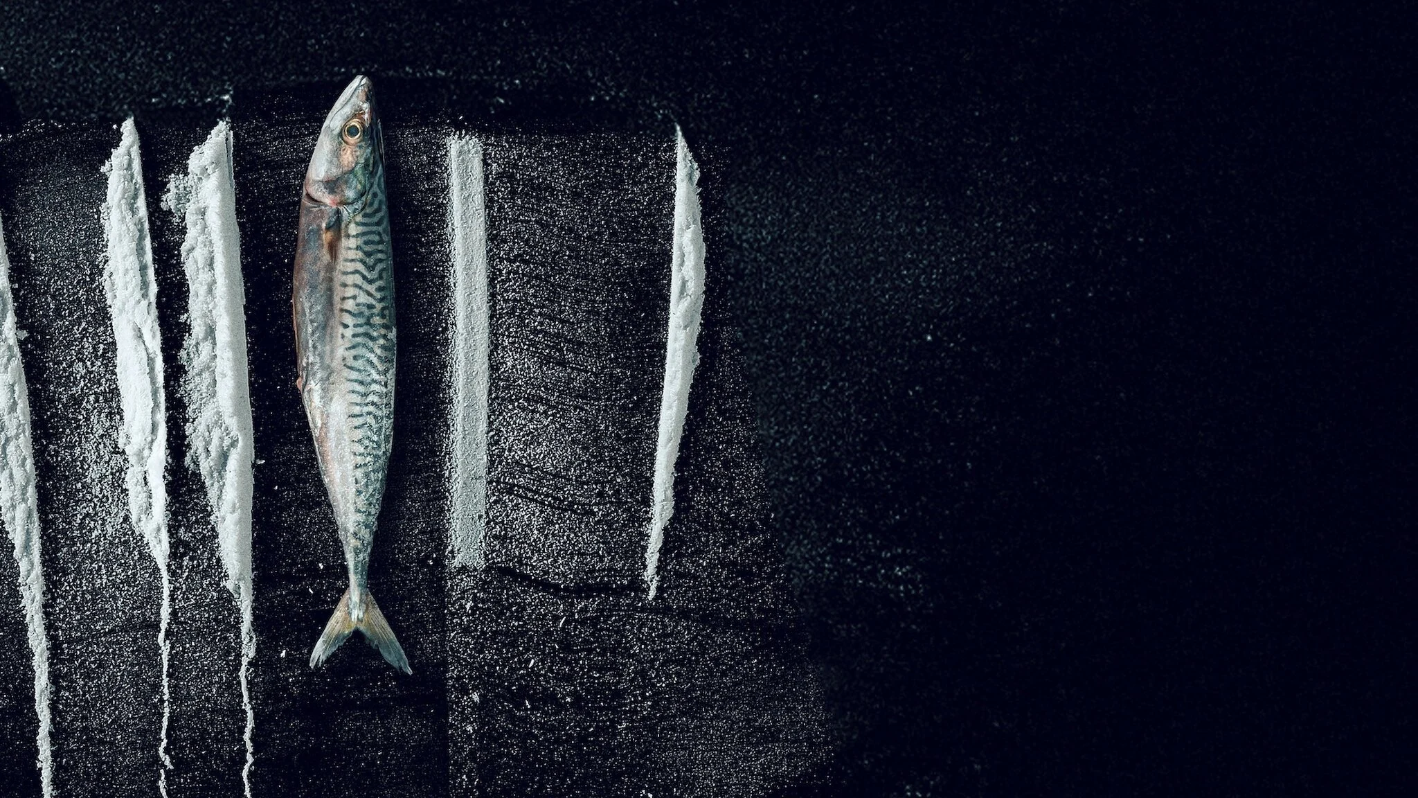 Sóng Triều Đổi Vận: Câu Chuyện Siêu Thực Về Rabo De Full