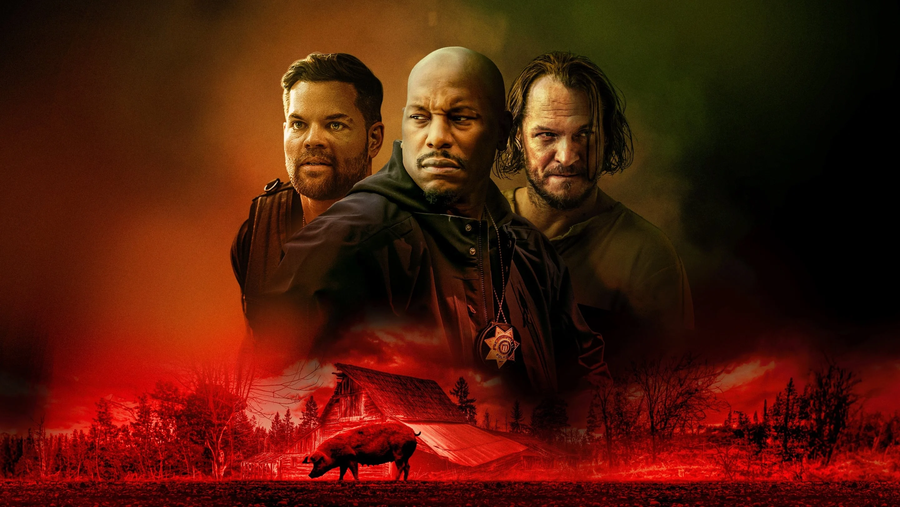 Trang Trại Lợn Full